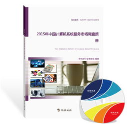 2015年中国计算机系统服务市场调查报告